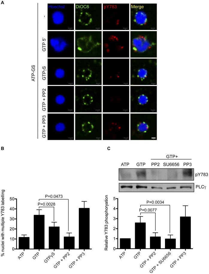 Figure 6