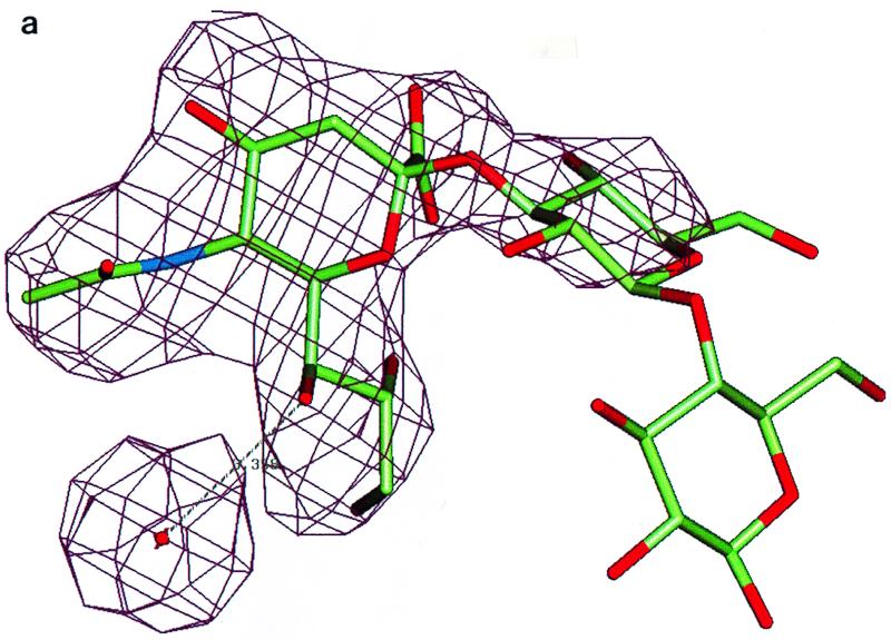 FIG. 3