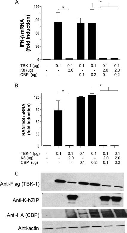 FIG. 8.