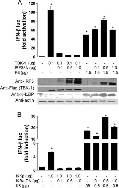 FIG. 4.