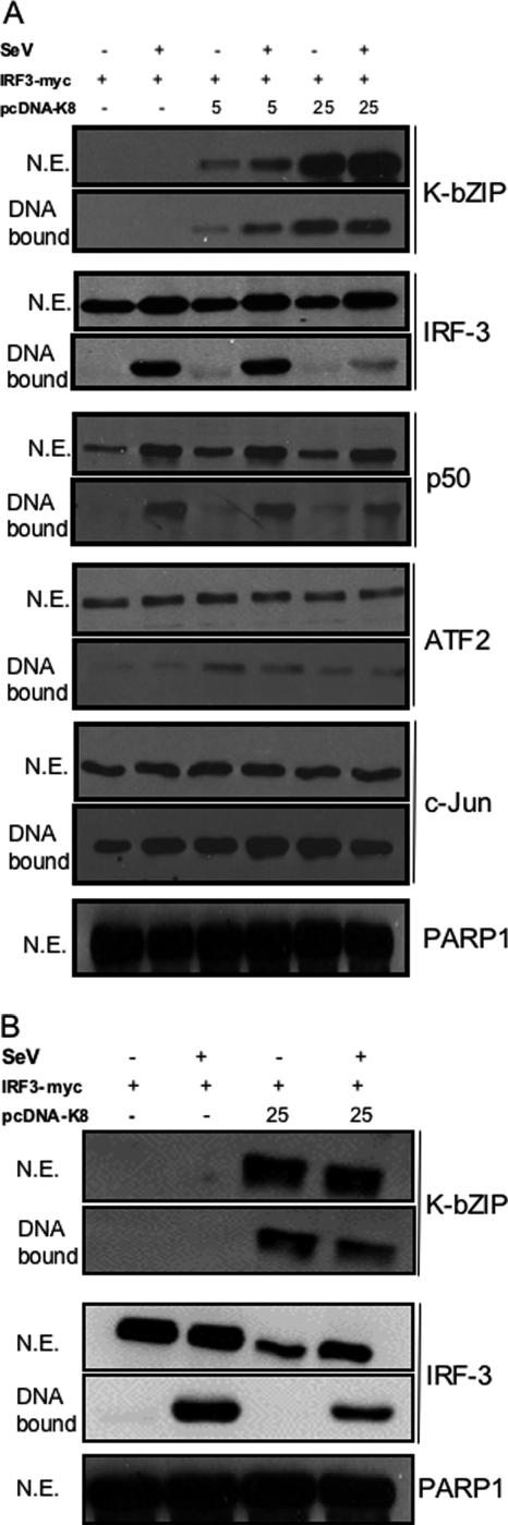 FIG. 5.