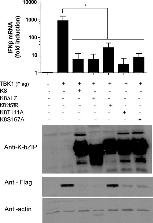 FIG. 9.