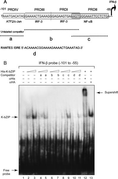 FIG. 7.