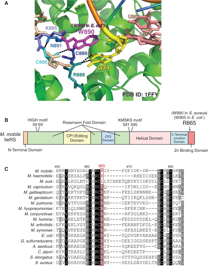 Figure 2.