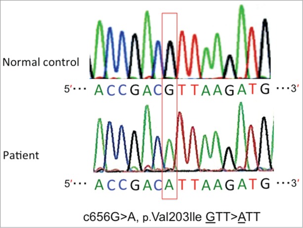 Figure 2.