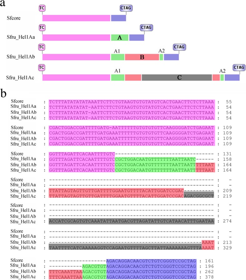 Fig. 6