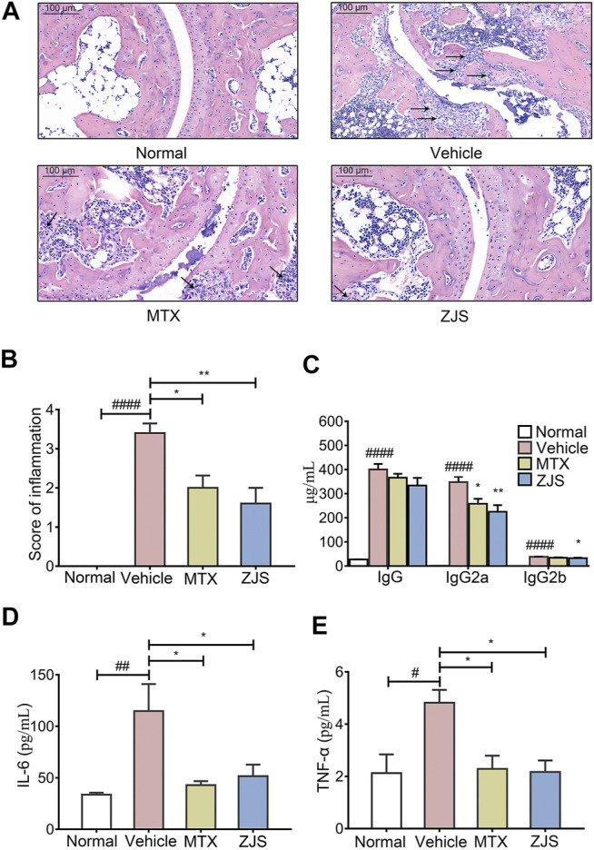 FIGURE 2