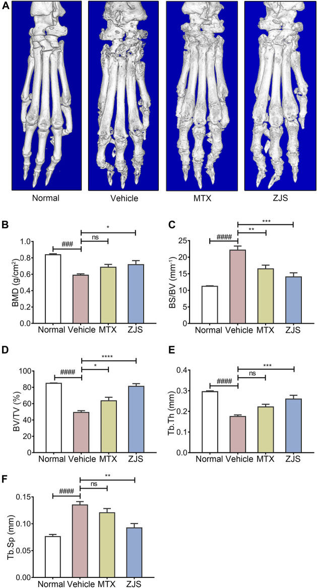 FIGURE 3