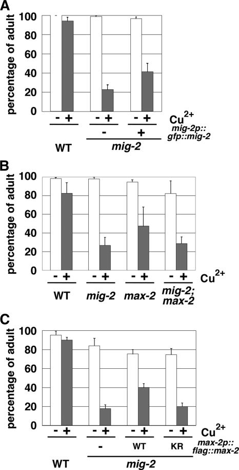 FIG. 7.