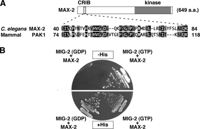 FIG. 6.