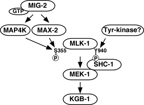 FIG. 9.