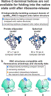 Figure 11.