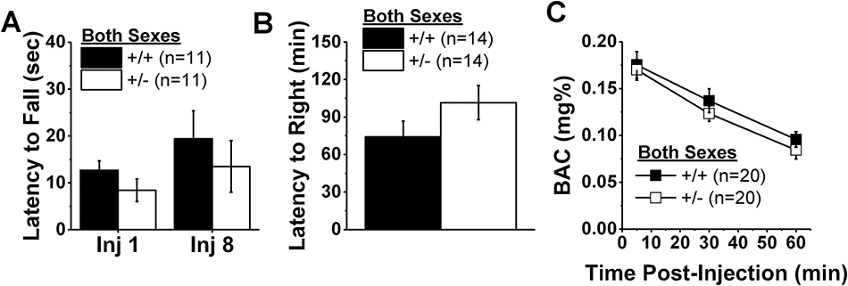 Figure 5: