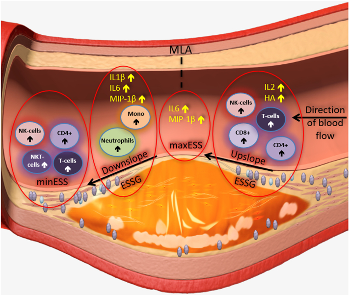 Figure 1