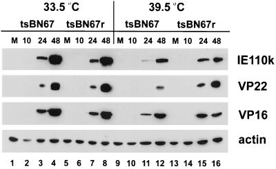 FIG. 8