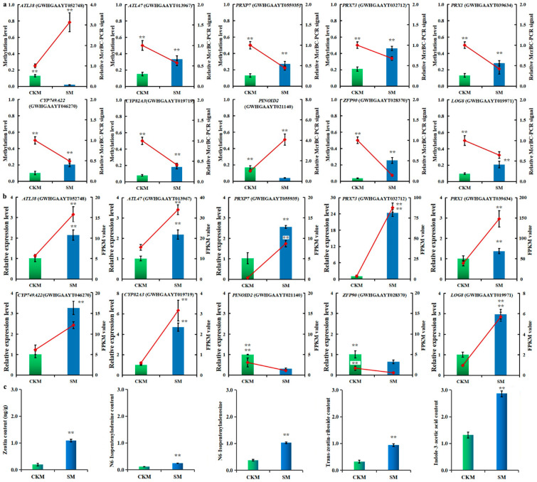 Figure 6