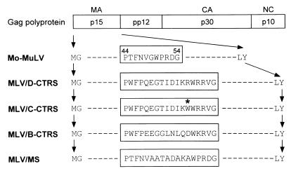 FIG. 1