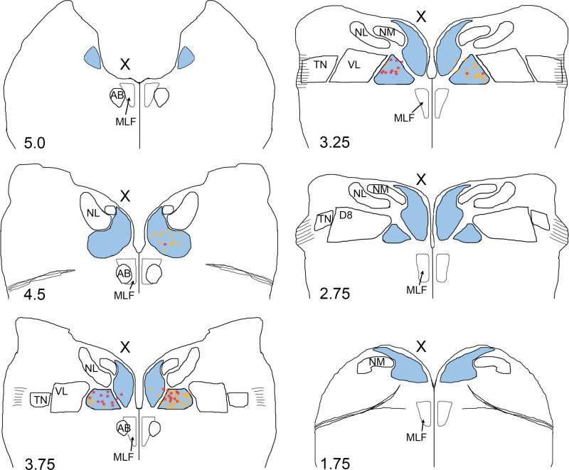 Fig. 9