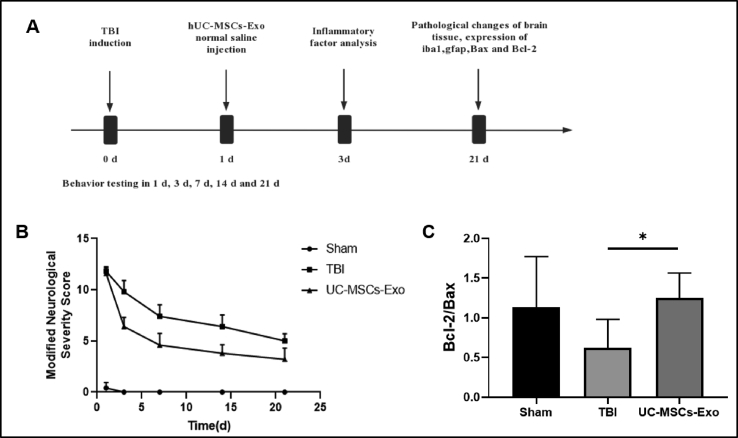 Fig. 2