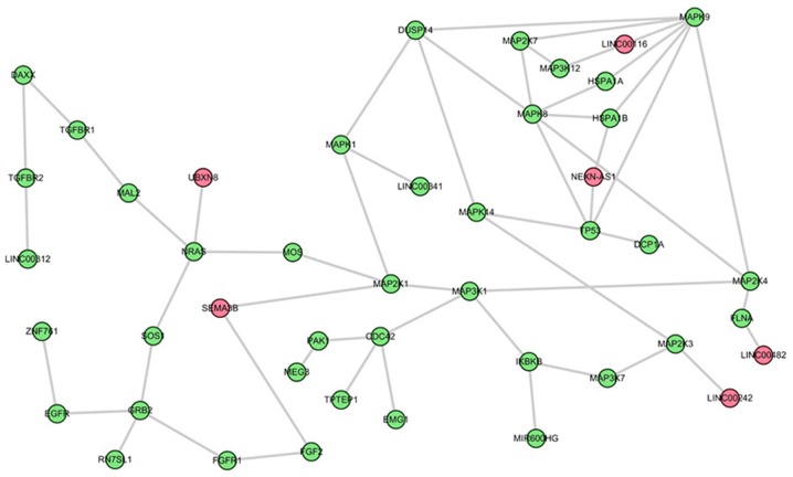 Figure 2.