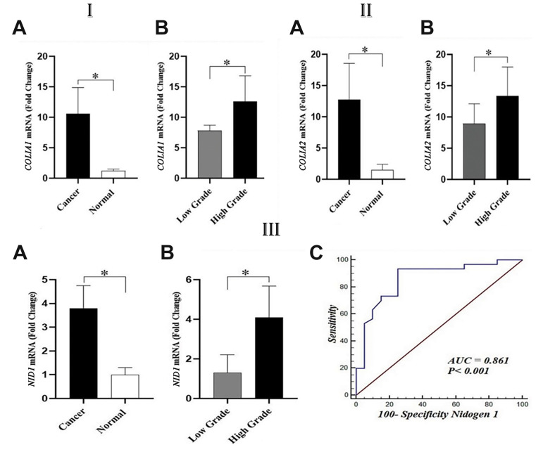 Fig.1