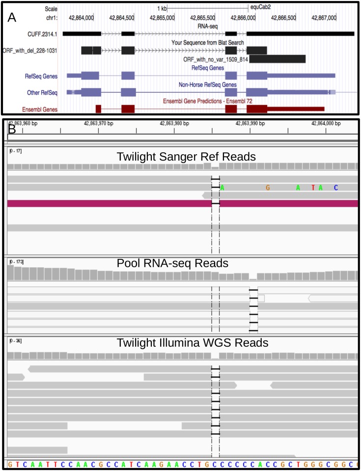 Fig 4