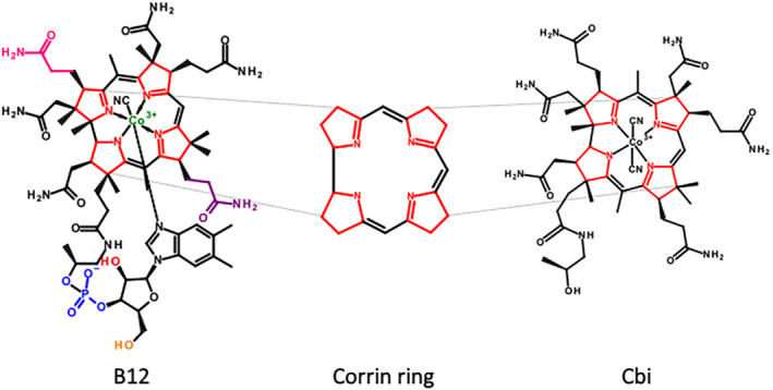 FIGURE 2