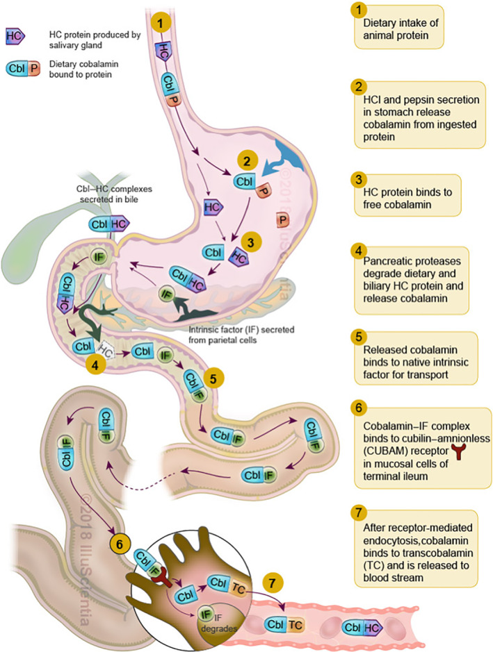 FIGURE 1