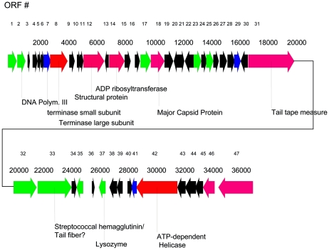 FIG. 2.