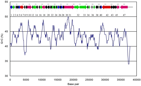 FIG. 1.