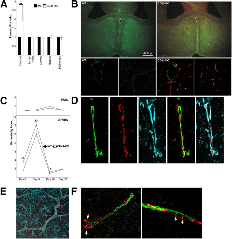 Figure 7