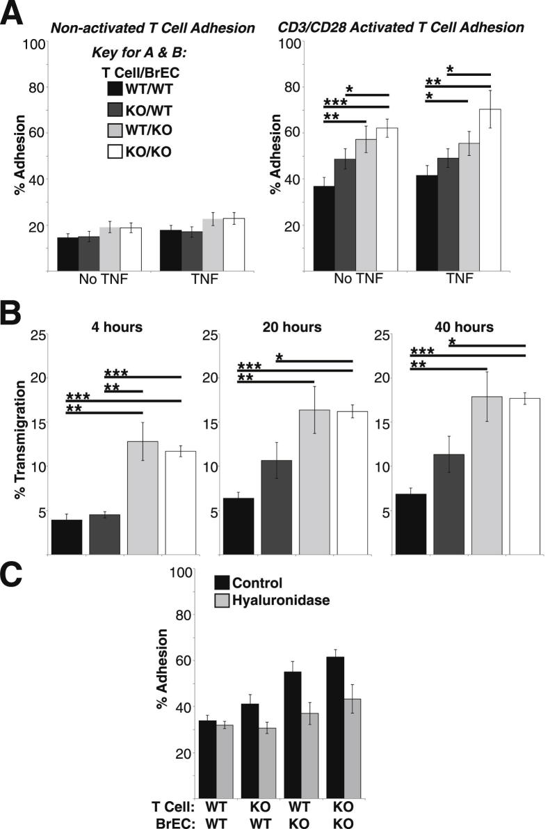 Figure 6