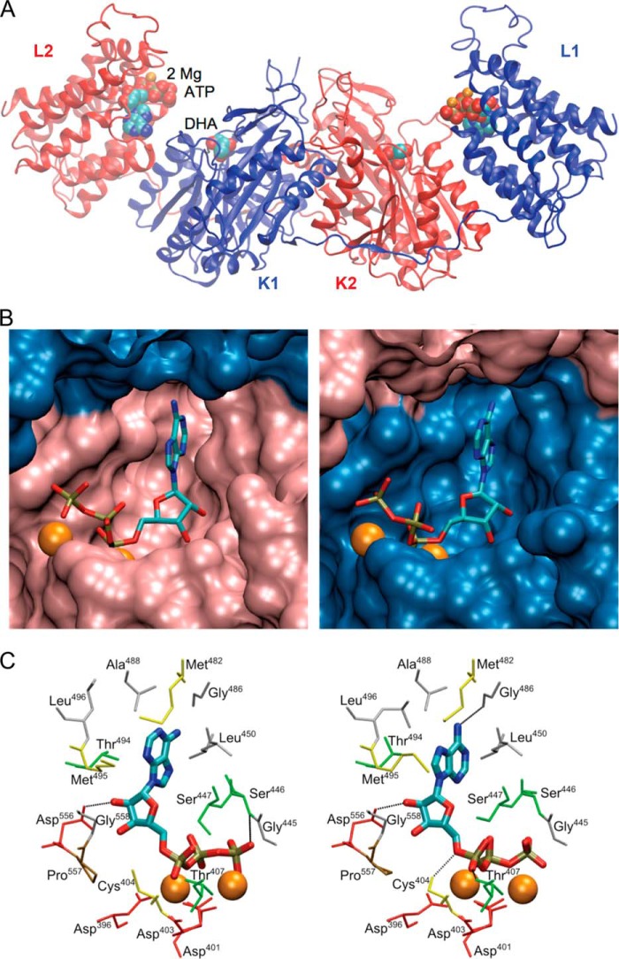 FIGURE 5.