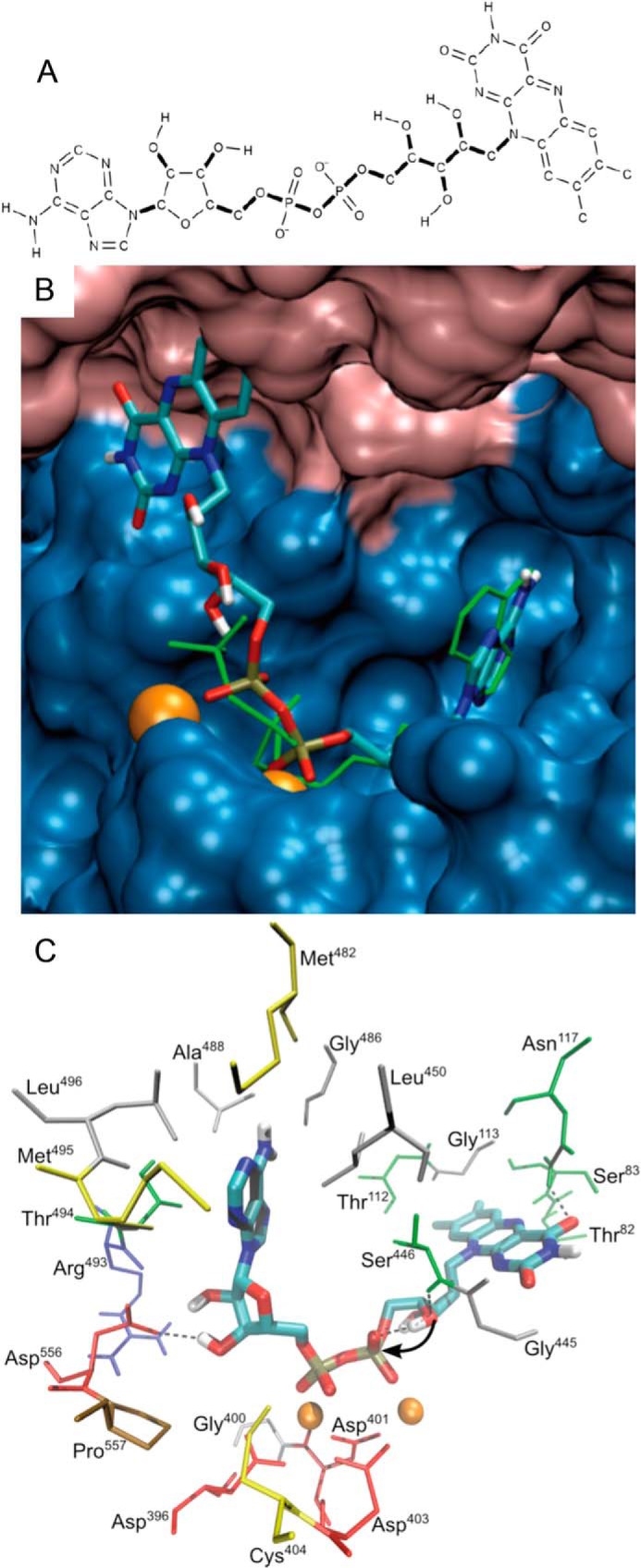 FIGURE 6.