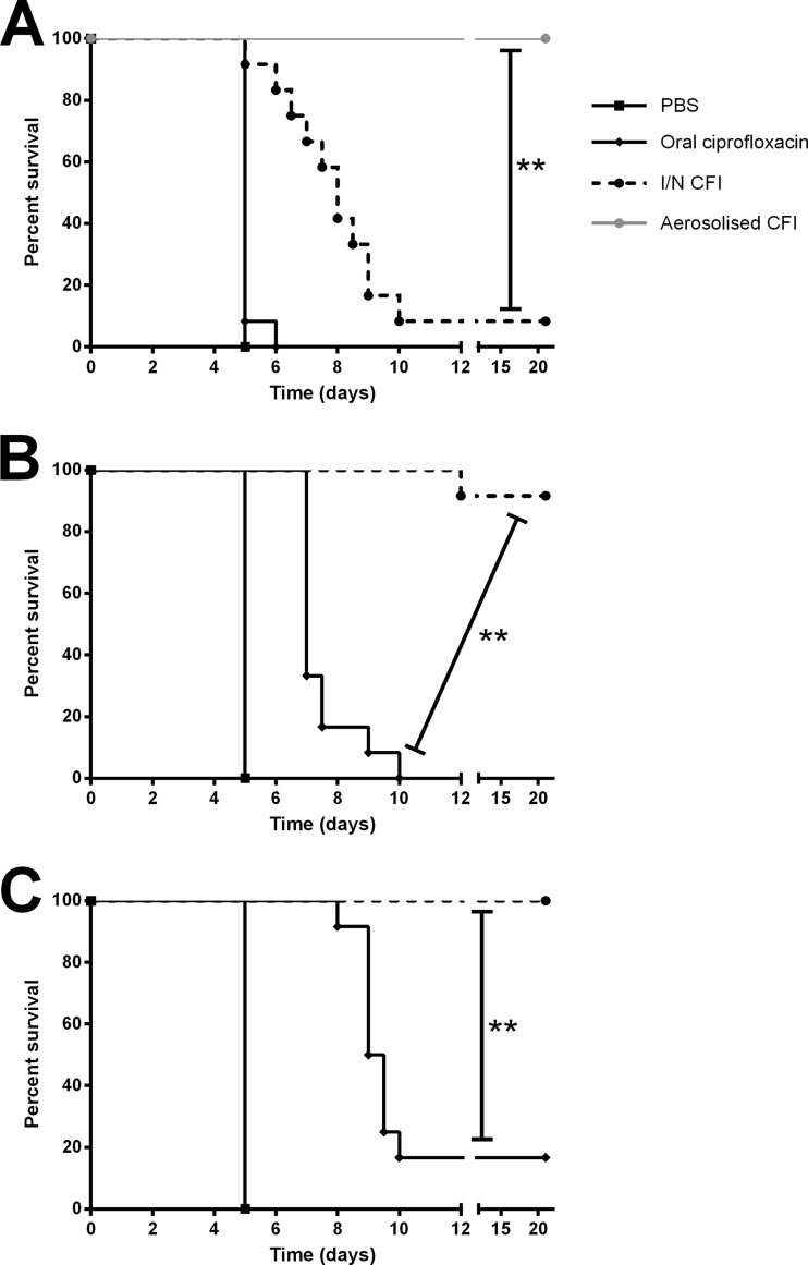 FIG 2