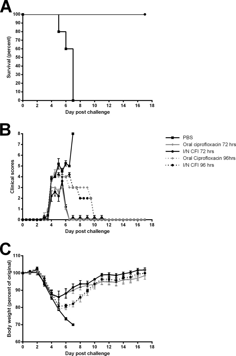 FIG 1