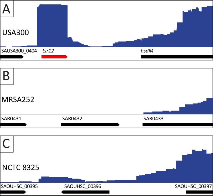 FIG 2 