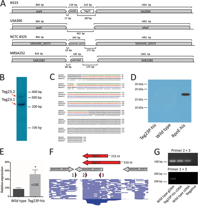 FIG 3 