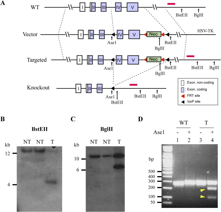 Fig. S1.