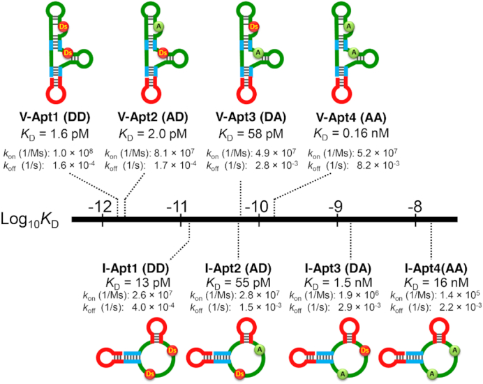 Figure 2.