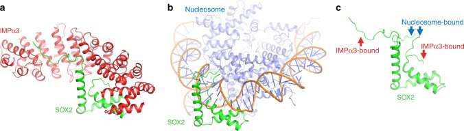 Fig. 9