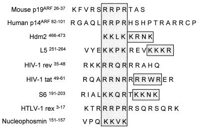 FIG. 7