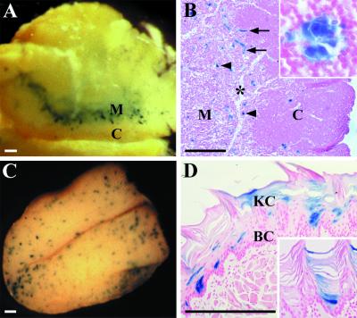 FIG. 7