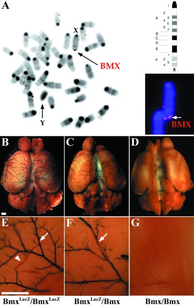 FIG. 8