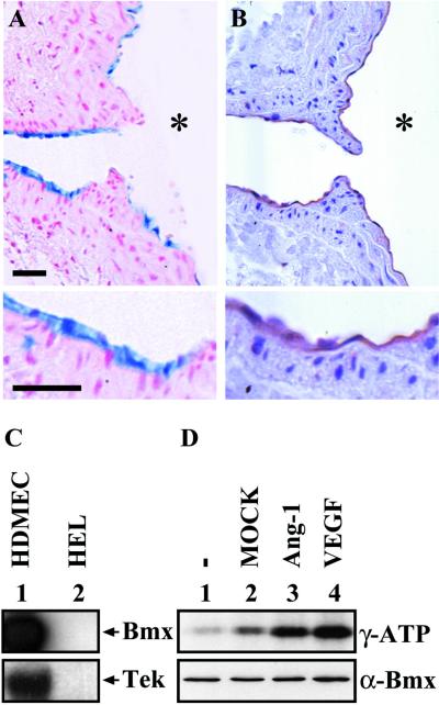 FIG. 10