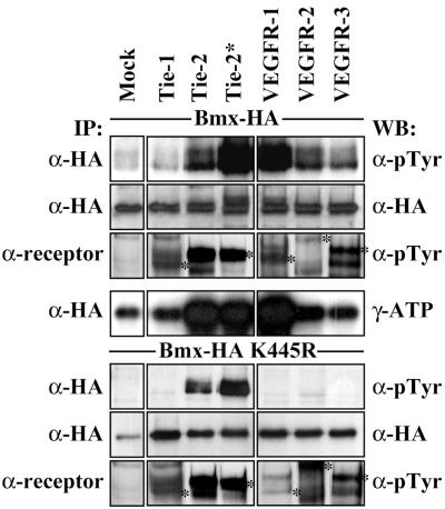 FIG. 9