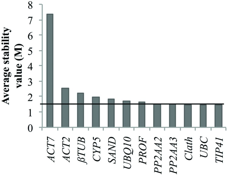 FIGURE 4