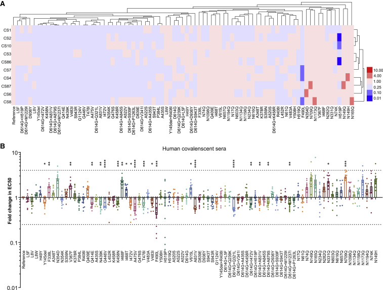 Figure 5