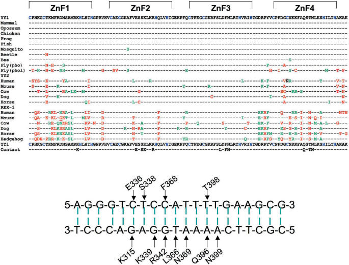 Figure 4.