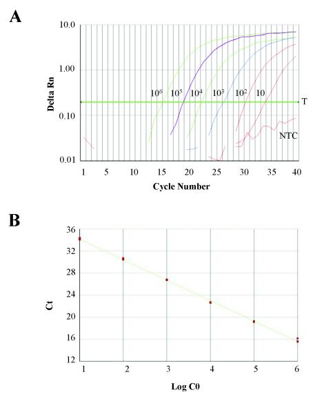 FIG. 2.